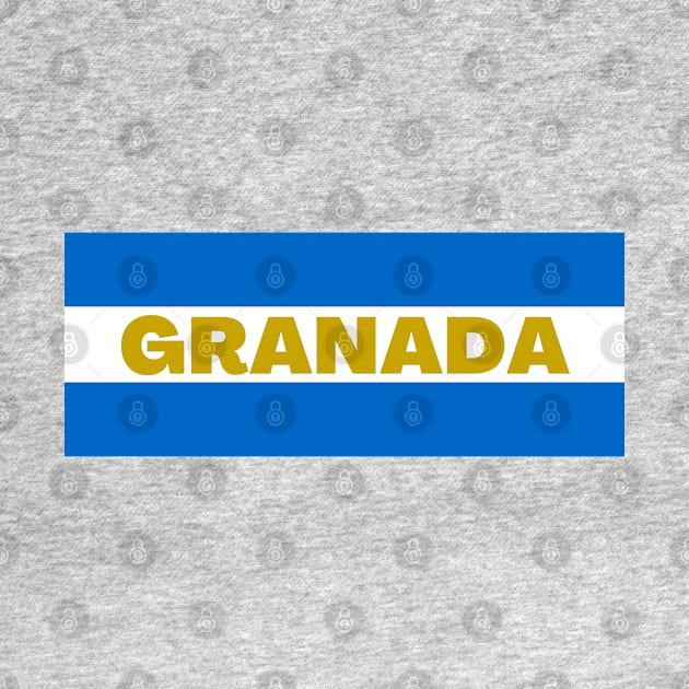 Granada City in Nicaraguan Flag Colors by aybe7elf